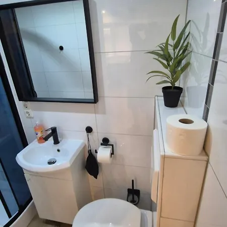 Schega